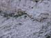 Triglav - 2007 Triglav - 2007