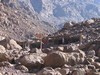 Maroko 2007 - Jabal Toubkal Maroko 2007 - Jabal Toubkal