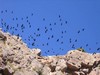 Maroko 2007 - Jabal Toubkal Maroko 2007 - Jabal Toubkal