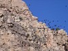 Maroko 2007 - Jabal Toubkal Maroko 2007 - Jabal Toubkal