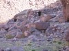 Maroko 2007 - Jabal Toubkal Maroko 2007 - Jabal Toubkal