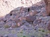 Maroko 2007 - Jabal Toubkal