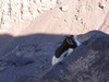 Maroko 2007 - Jabal Toubkal Maroko 2007 - Jabal Toubkal