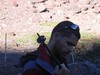 Maroko 2007 - Jabal Toubkal Maroko 2007 - Jabal Toubkal