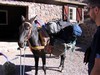 Maroko 2007 - Jabal Toubkal Maroko 2007 - Jabal Toubkal